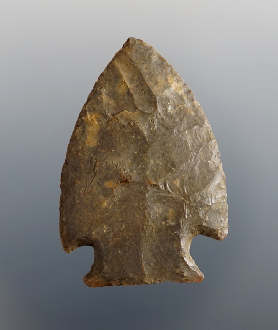 Super Fine and thin 1 3/4" Intrusive Mound found in Franklin Co., Ohio. Ex. Jack Hooks.