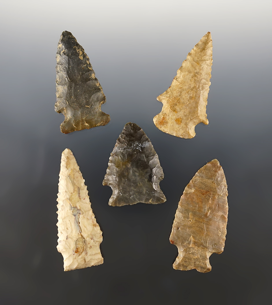 Set of 5 assorted Ohio Archaic points in good condition. The largest is 2 3/8".