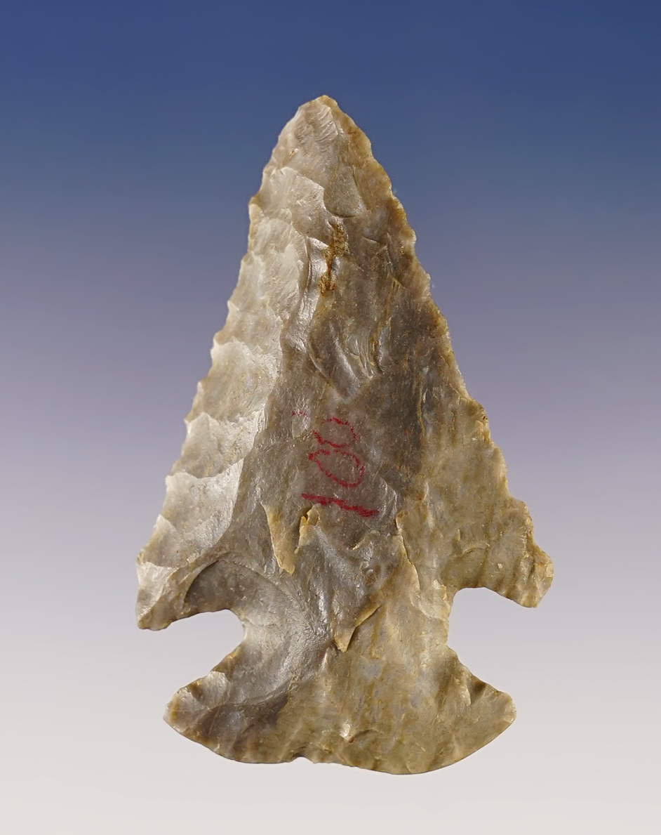 Nice 2 3/8" steeply beveled Dovetail with excellent grinding to the basal area. Found in Ohio.