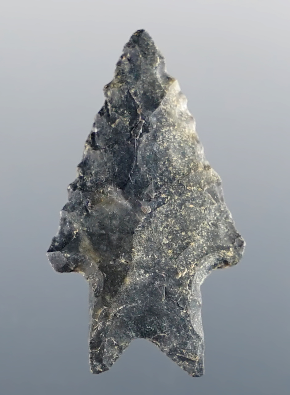 2 1/8" Lake Erie Bifurcate made from Coschocton Flint with rare burin-flaked basal lobes. Ohio.