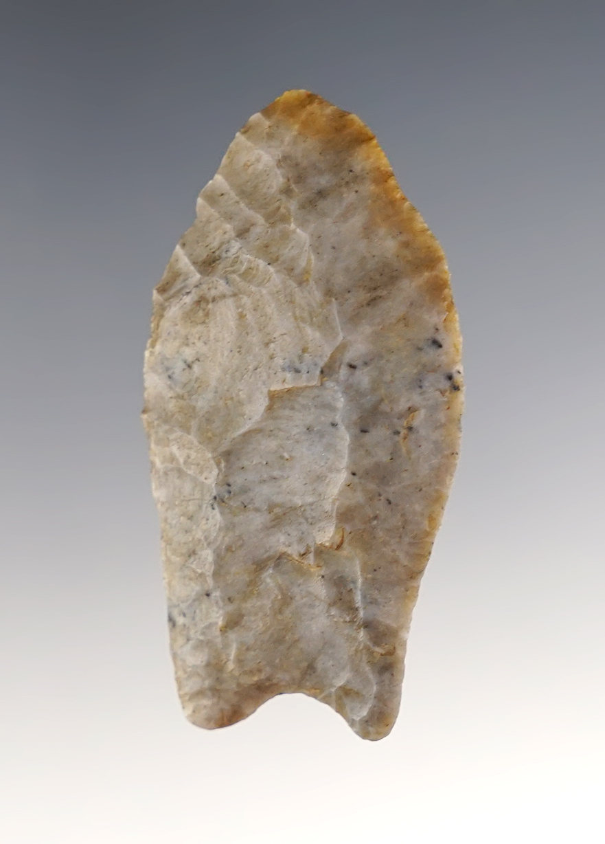 Fine 2" Paleo Crowfield found in Putnam Co., Ohio. Excellent grinding to the stem and basal area. 