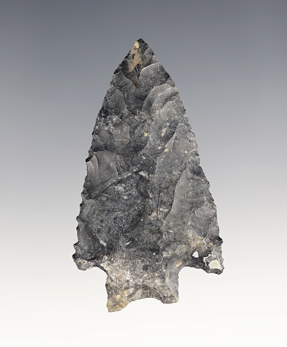 2 5/16" Transitional Paleo found in Ohio. Made from Coshocton Flint. A nice example of the type.