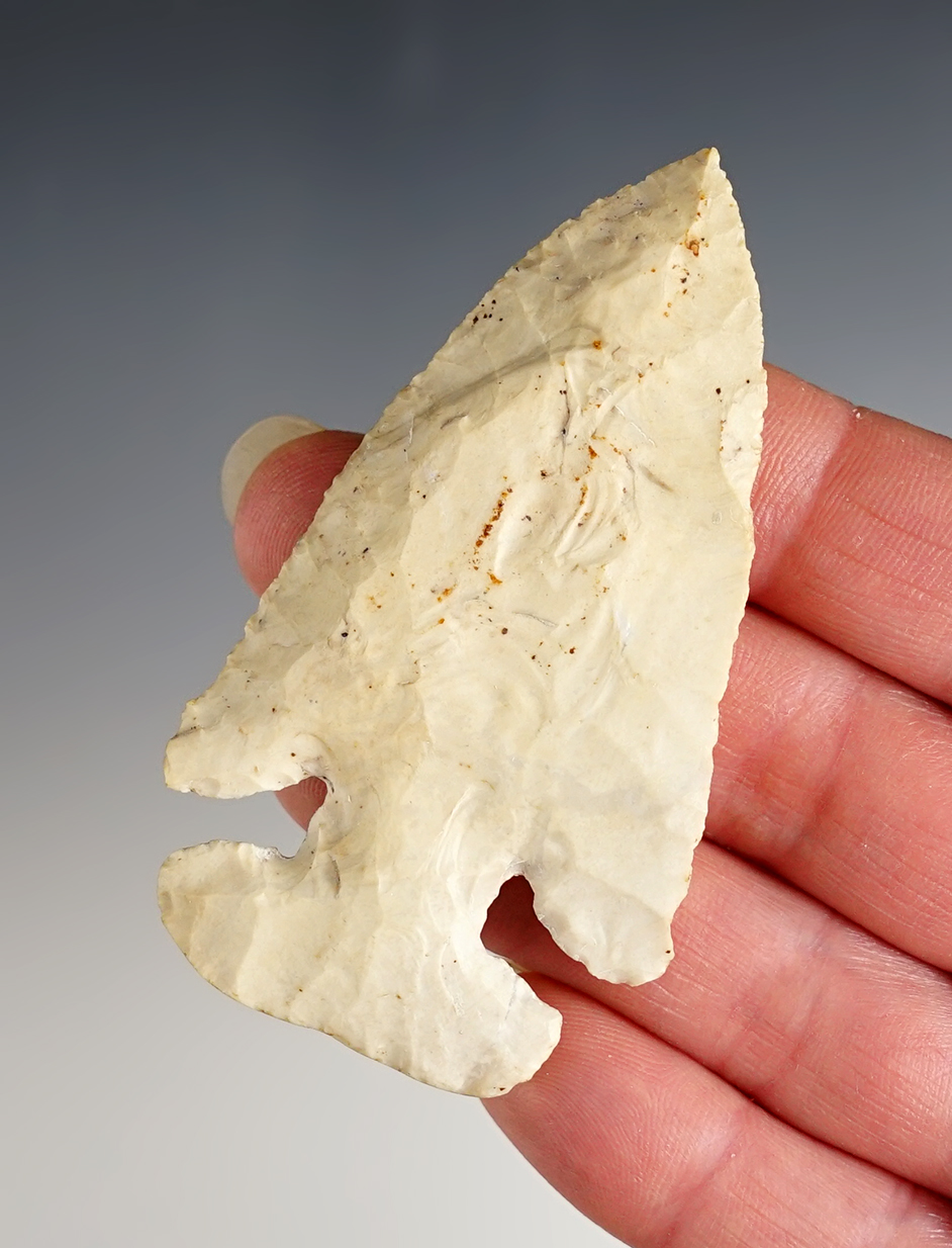 Exceptional 3" Thebes E-Notch Bevel found in the Ohio/Indiana area. Excellent flaking. 