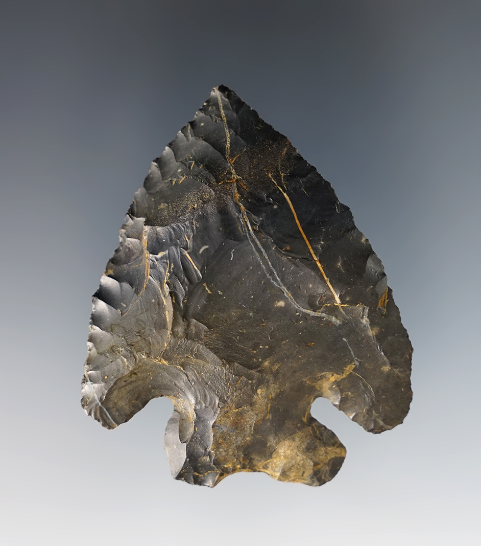 2 5/16" Archaic Ohio Thebes Bevel that is well flaked. Made from Coshocton Flint.