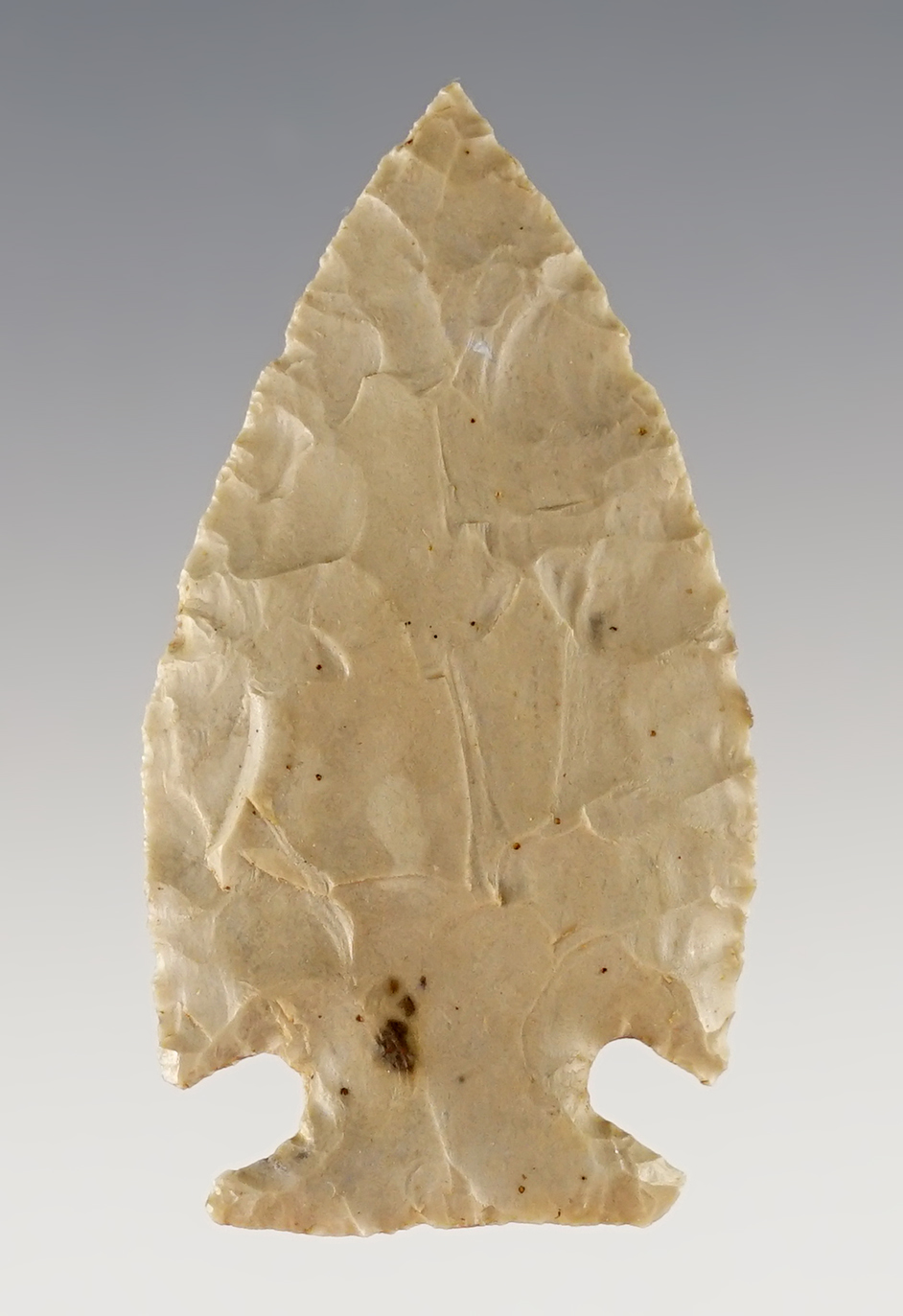 Exceptional 1 15/16" Intrusive Mound found in Ohio. Thin with incredible flaking.