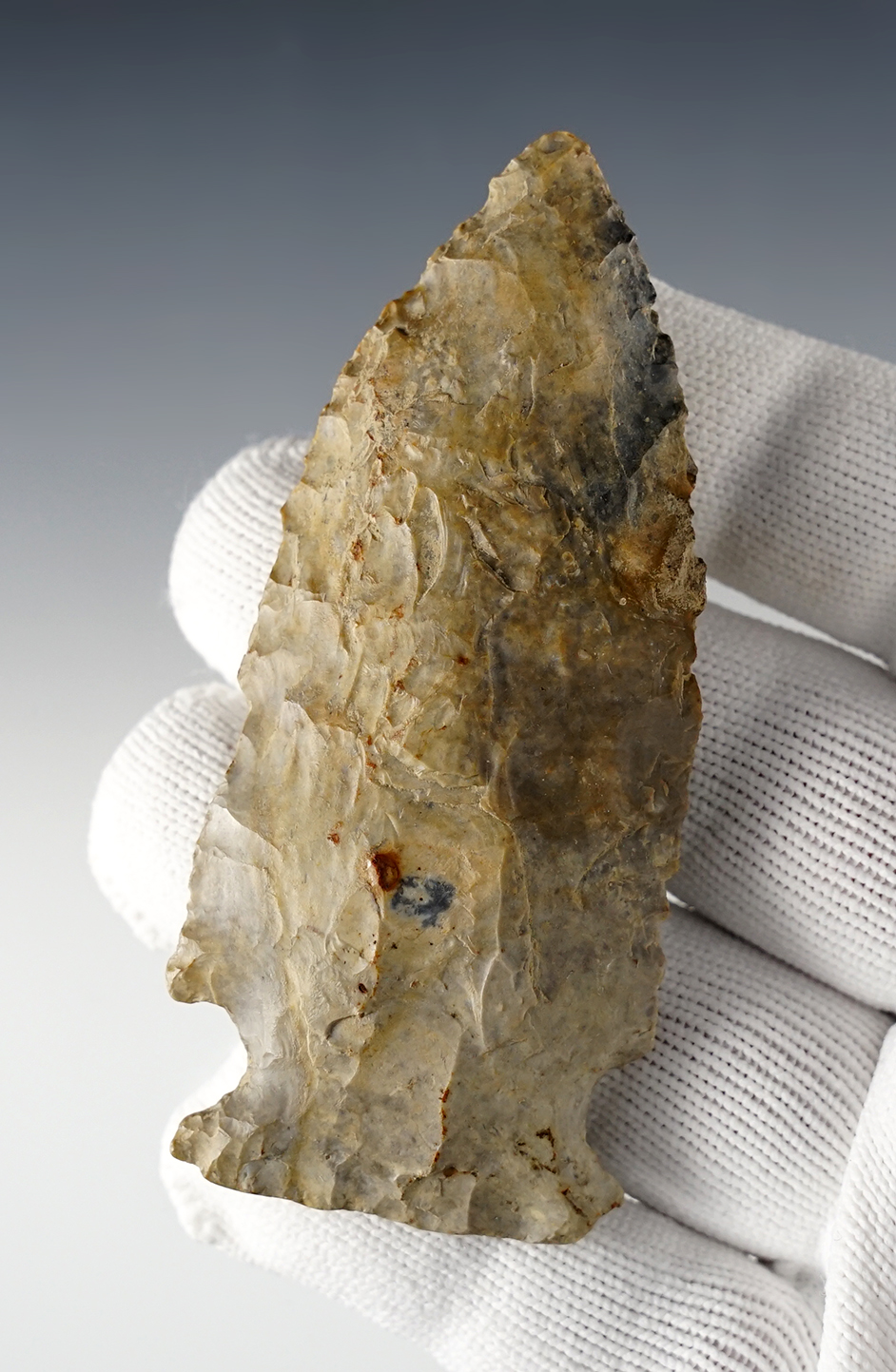 3 9/16" Coshocton Flint Archaic Sidenotch. Coshocton Co., Ohio. Comes with a Bennett COA.
