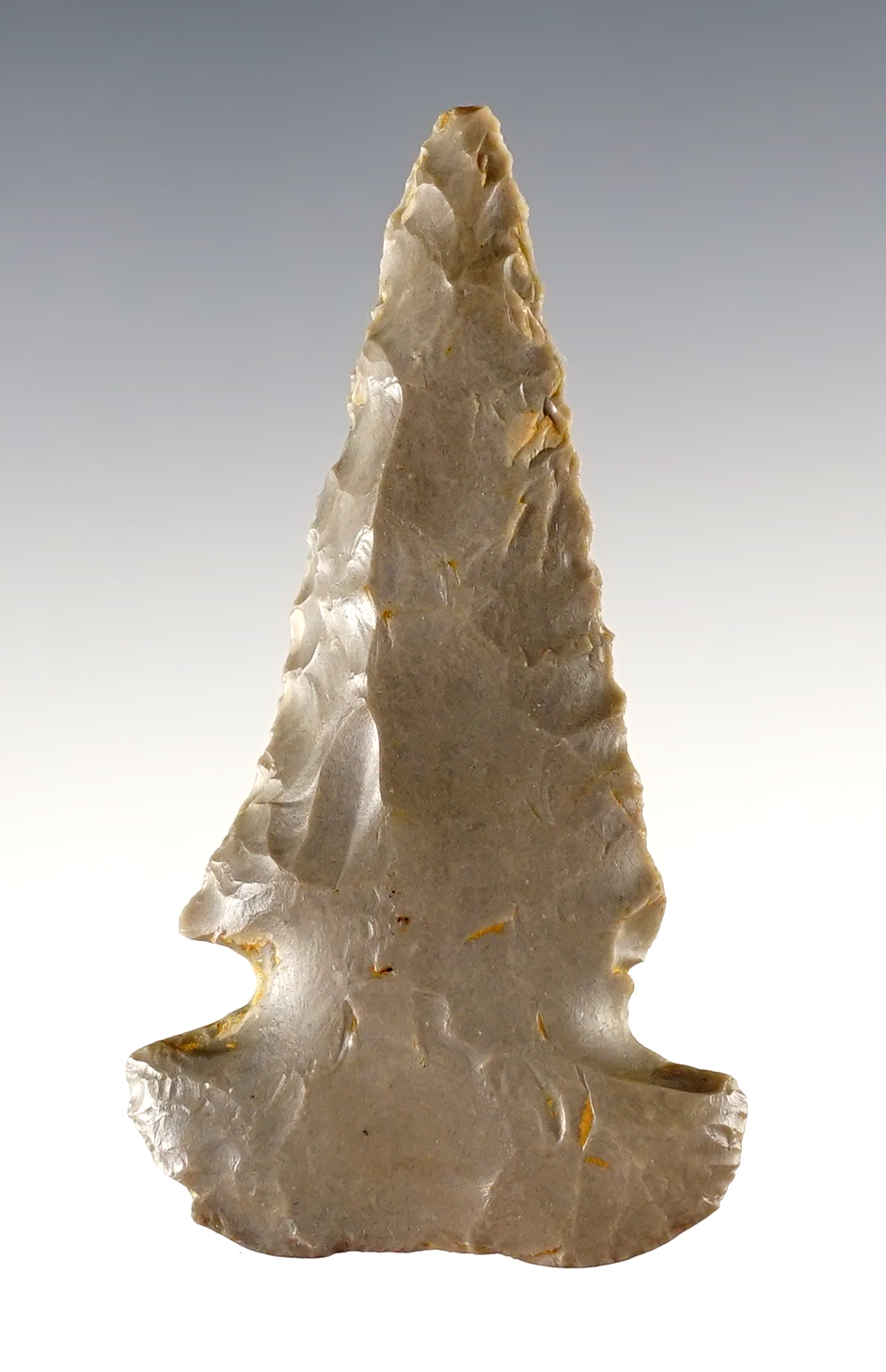 2 5/8" Ohio Dovetail that has been heavily resharpened in ancient times. Nicely beveled.