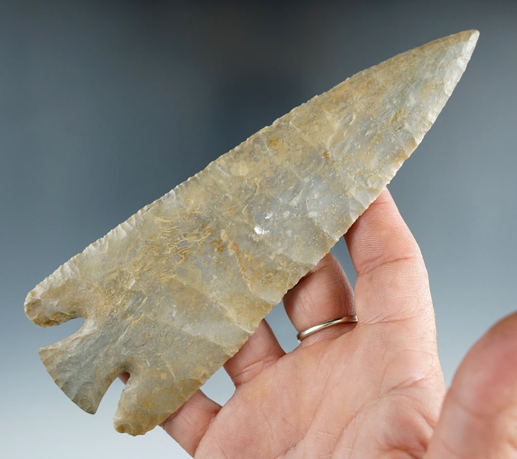 6 1/4" Lost Lake -Ft. Payne Chert, restoration to the entire base and 1" of tip. Kentucky. COA.