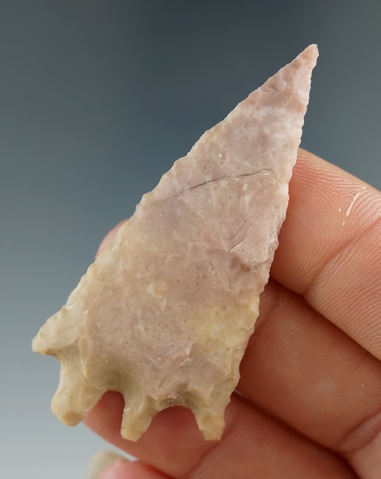 2 1/4" Jetta point with unique basal style found in Texas.