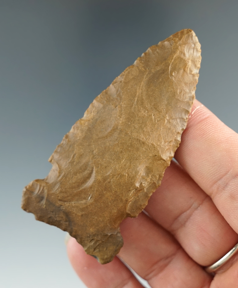 Well flaked and nicely styled 2 13/16" Big Sandy sidenotch found in Tennessee.