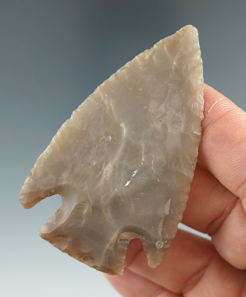 2 5/8" Castroville - thin and very nicely flaked from high quality semi translucent Flint. Texas.