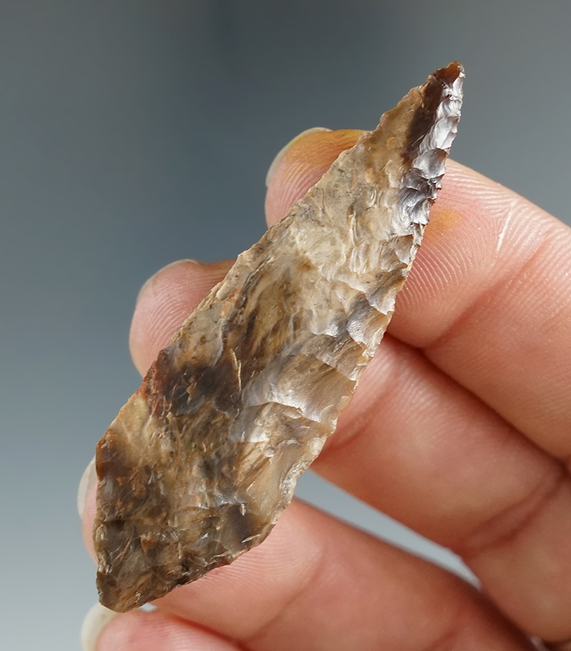 2 3/16" Gatecliff found by Norma Berg of Ellensburg Washington. Comes with a Bennett COA.