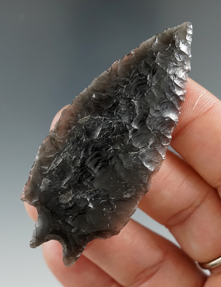 2 3/4" Pinto Basin - Obsidian, found in Harney Co., Oregon in the 1960's. Denny Presley COA.