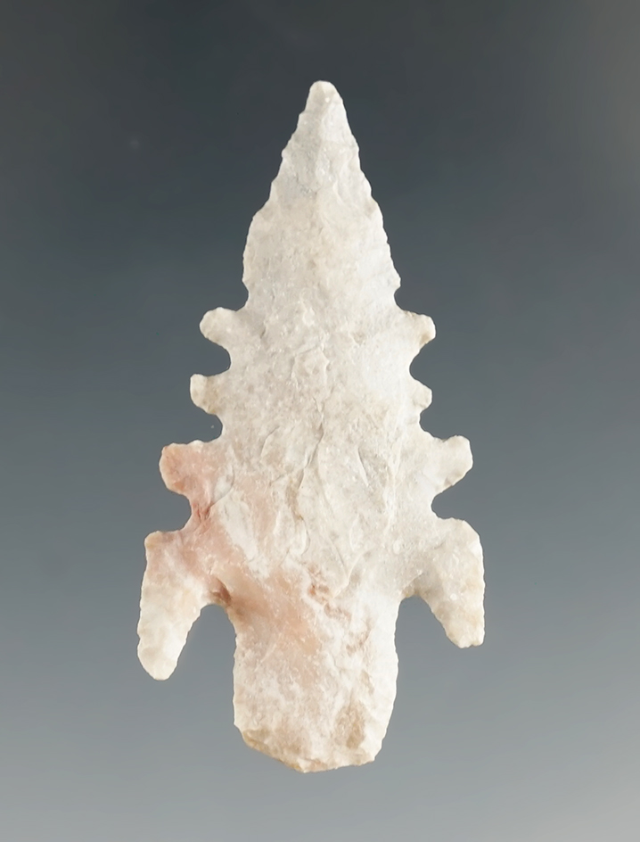 1 11/16" Serrated Shumla found in South Texas. Ex. Kaye Don Bruce Collection. Bennett COA.