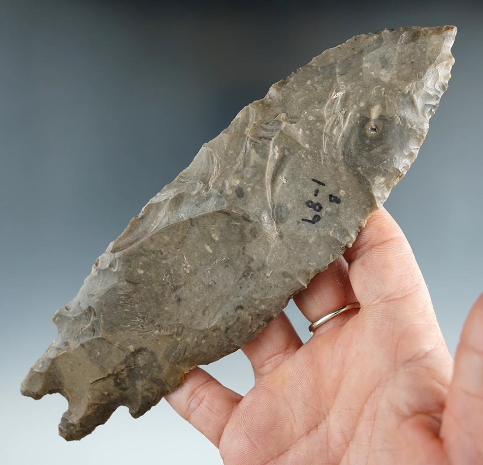 Large 7" Pedernales found in Gillespie Co., Texas. Comes with Rogers and Davis COA's.