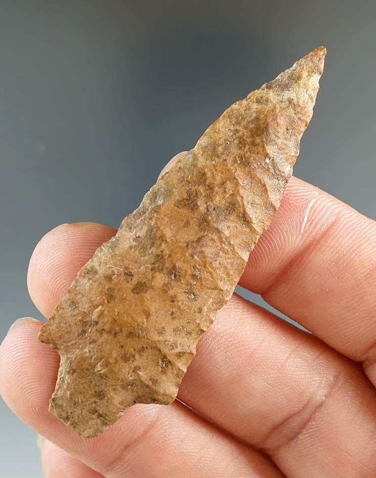 2 5/16" Gatecliff Contracting Stem found in 1938 near the Columbia River, Washington. 2 COAs.