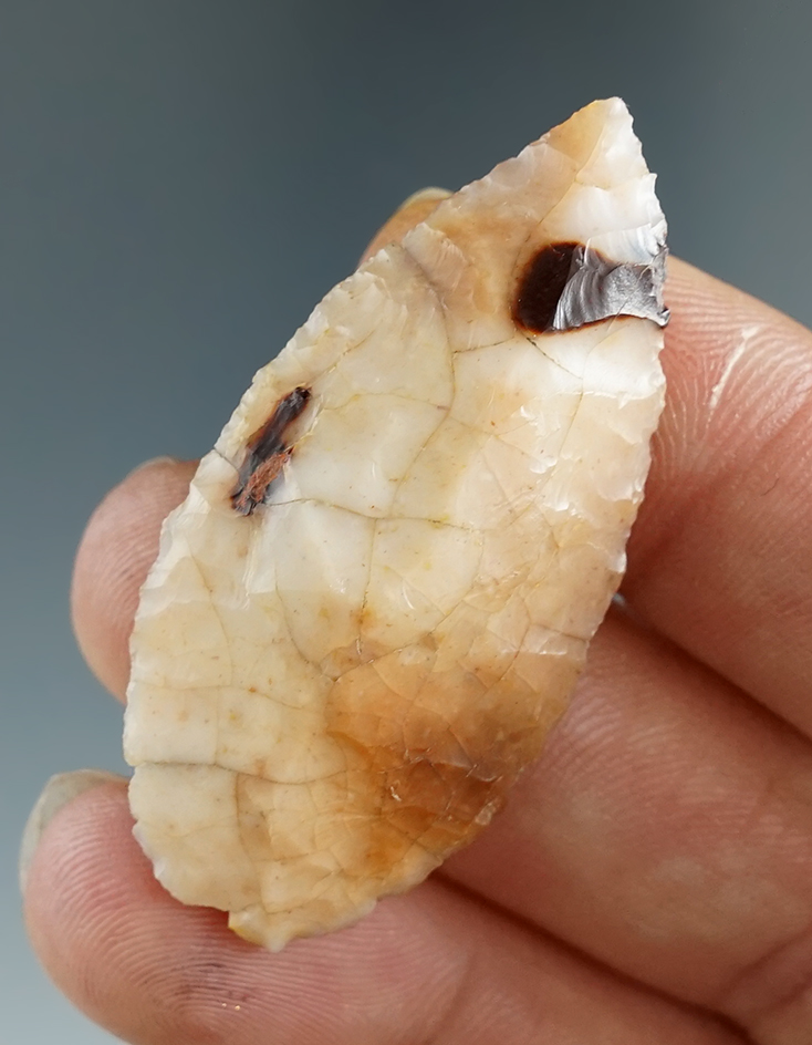 1 3/4" Colorful blade found by Norma Berg of Ellensburg, Washington. Comes with Bennett COO.