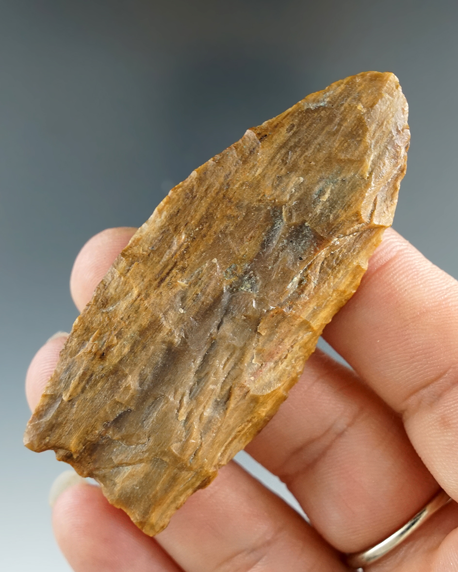 2 5/8" Plainview - Petrified Wood, found in the Toledo Bend area of Texas. Rogers COA.