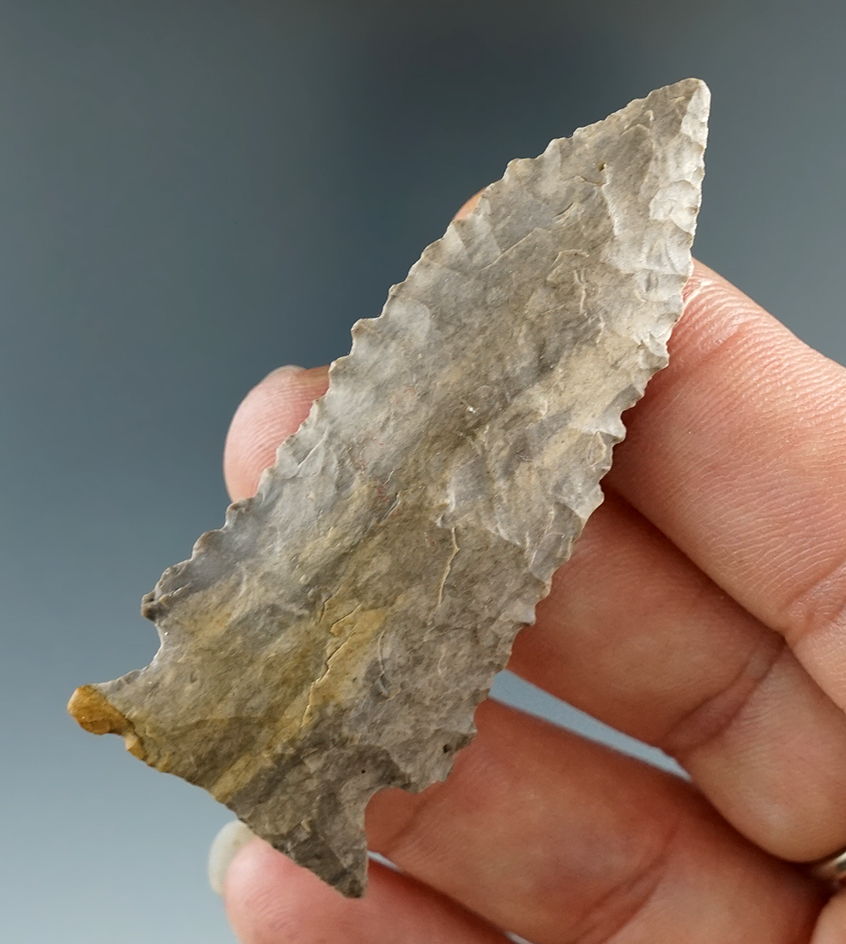 2 7/16" Greenbrier - Ft. Payne Chert, found in Humphreys Co., Tennessee. Partain COA.