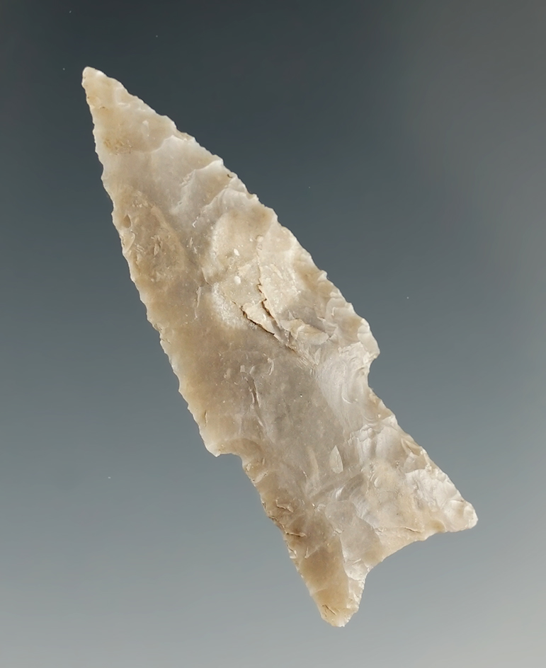 2" Darl stemmed that is nicely flaked in excellent condition found in Texas.