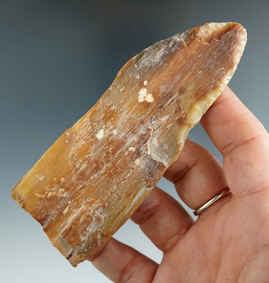 4 1/4" Petrified Wood Knife found by Norma Berg in Washington. Bennett COA and COO.