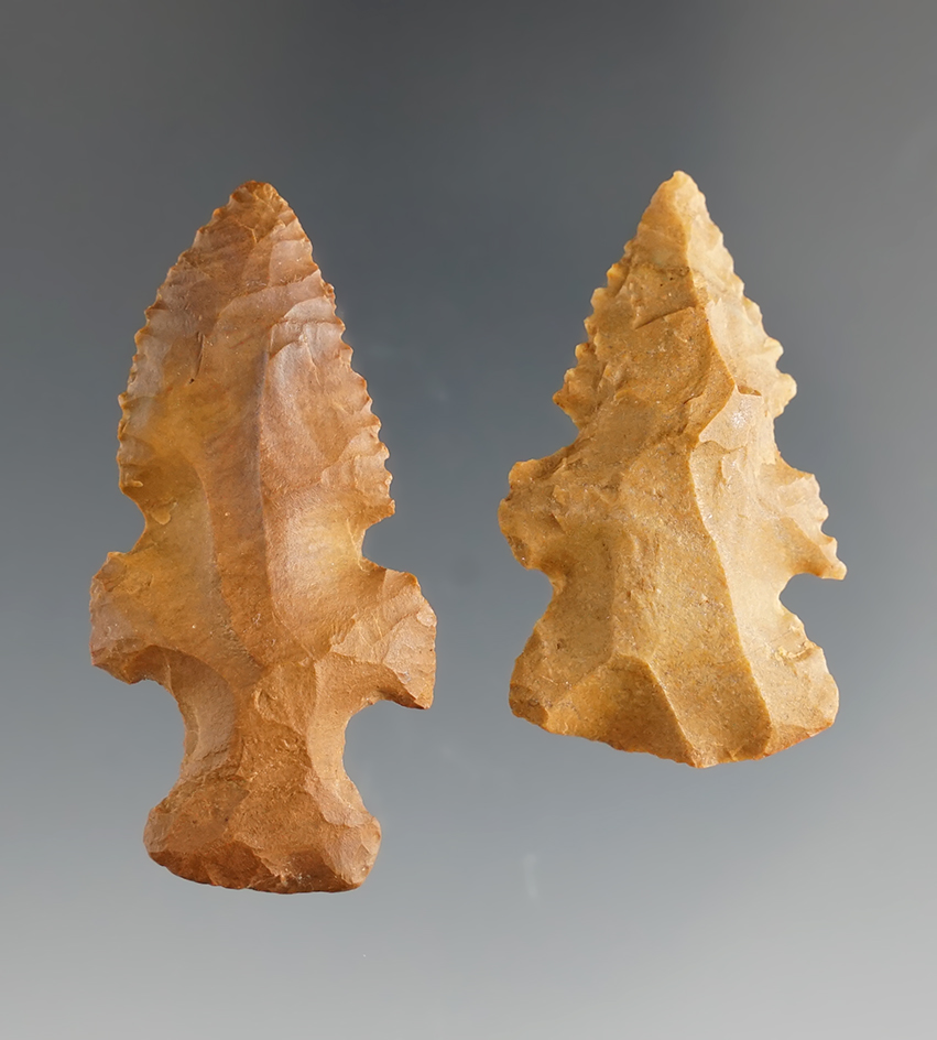 Pair of Evans Points found in Angelina Co., Texas. Largest is 1 7/8". Both Come with Rogers COA's.