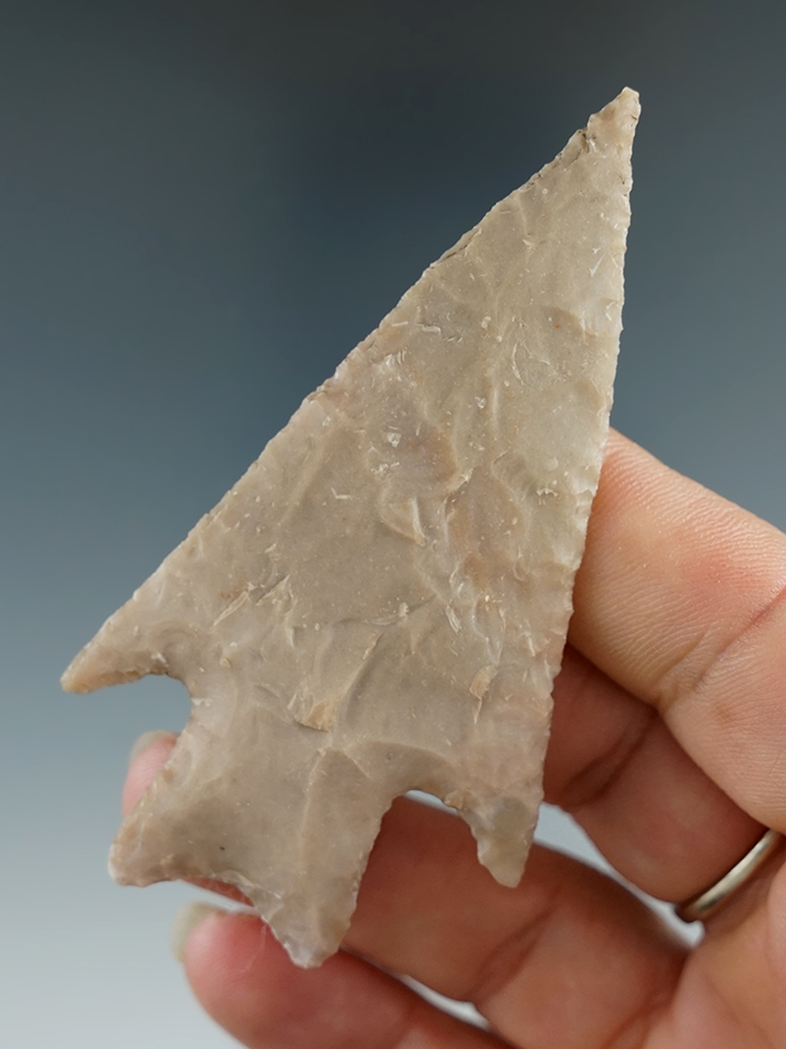 3 3/16" Pedernales point that is thin and nicely flaked from quality material found in Texas.