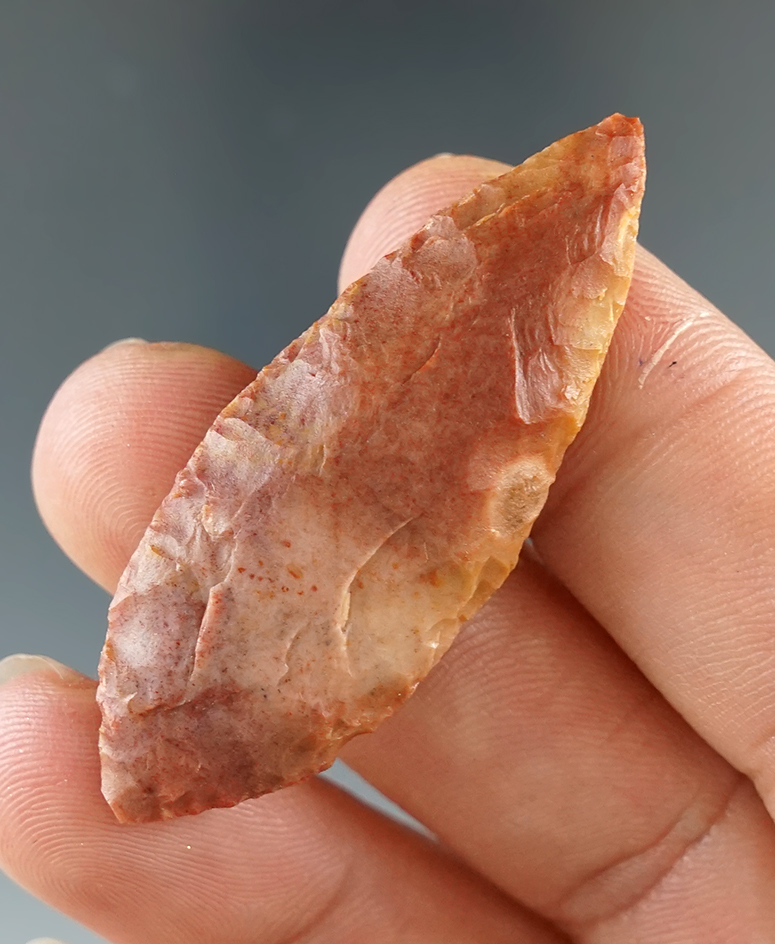 1 7/8" Nodena made from Carter Cave Flint, found in Clark Co., Kentucky.  Bennett COA.