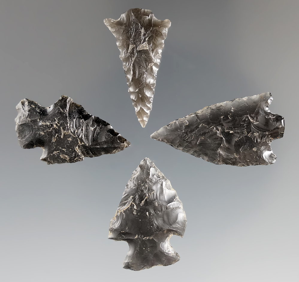 Set of 4 Assorted points found by Norma Berg near the Columbia River, WA.  Bennett COA.