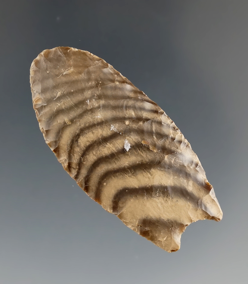 1 15/16" Paleo Dart made from high grade Banded Chalcedony, found in Oregon.  Jackson COA.