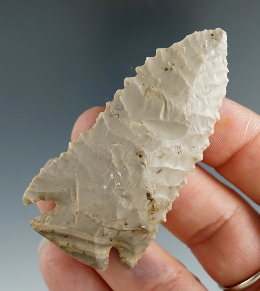 2 1/2" Pinetree made from Tyrone Chert, found in Fentress Co., Tennessee. Davis G-9 COA.