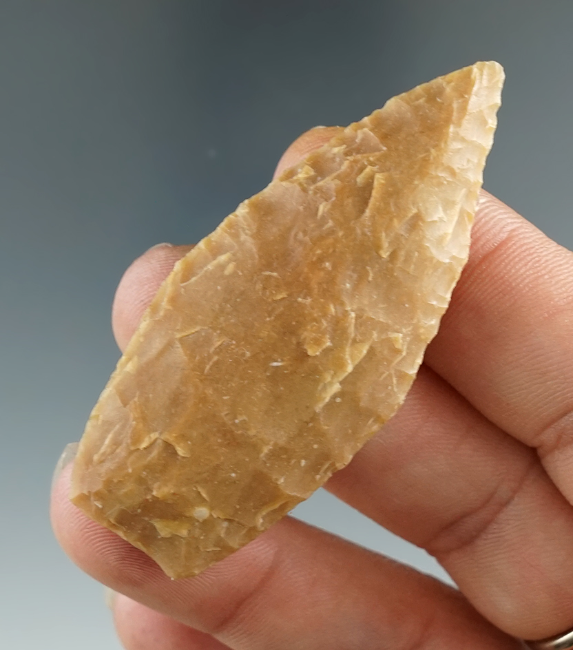 2 1/4" Angostura found in Wilson Co., Texas. Comes with a Rogers COA.