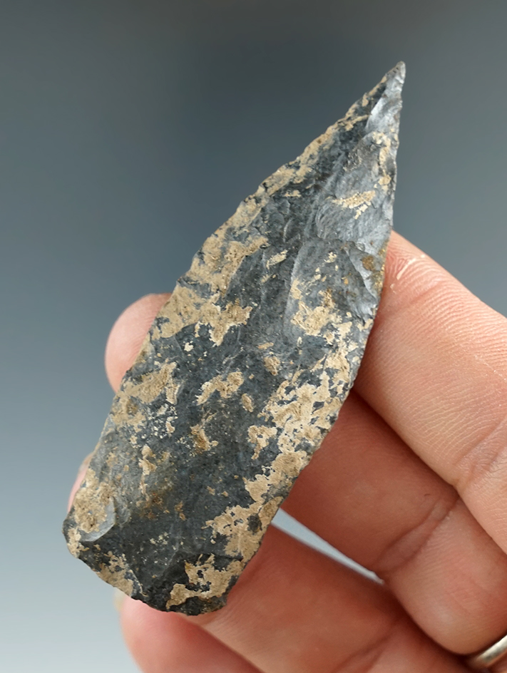 2 9/16" Copena found in Kentucky with heavy buildup of minerals on surface.