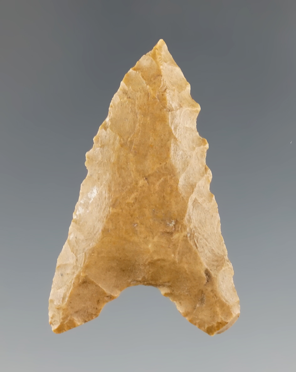 1 1/2" Dalton made from Ft. Payne Chert, found in Wayne Co., Kentucky. Partain COA.