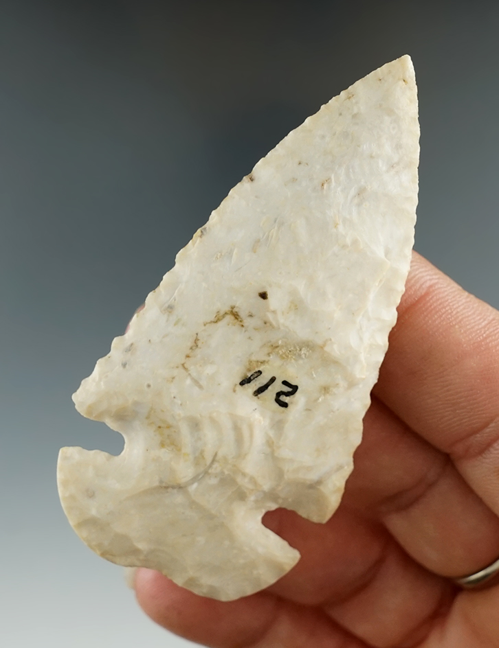 2 3/4" Burlington Chert Dovetail found in St. Louis Co., Missouri. Comes with a Rogers COA.