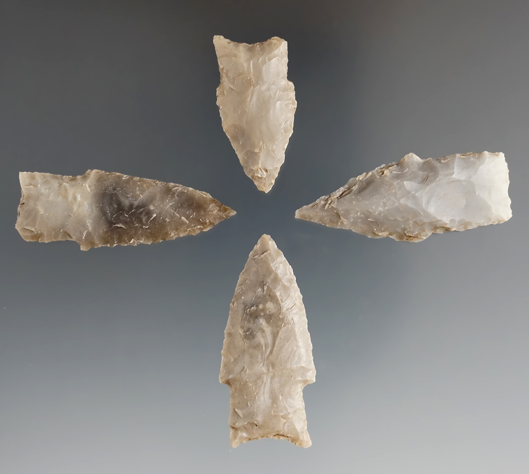 Set of four Darl points found in Texas, largest is 1 11/16".
