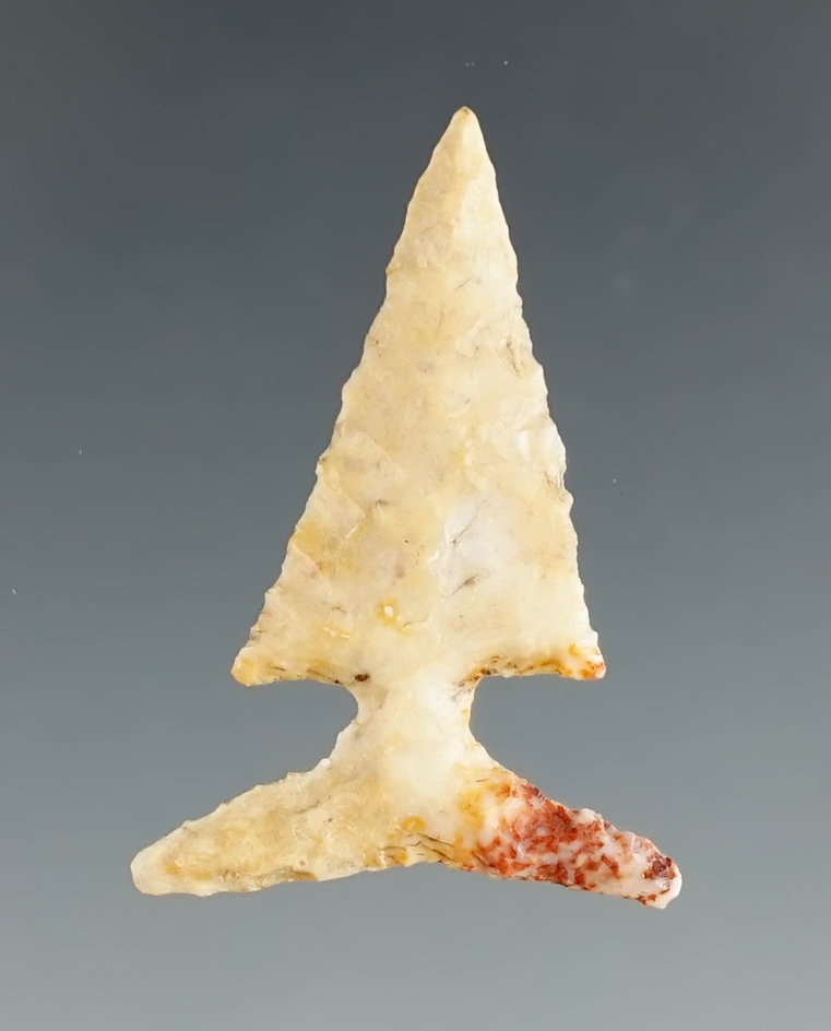 1 1/16" Edwards point with restoration to the tip & one barb. Kerr Co., Texas.  Rogers COA.