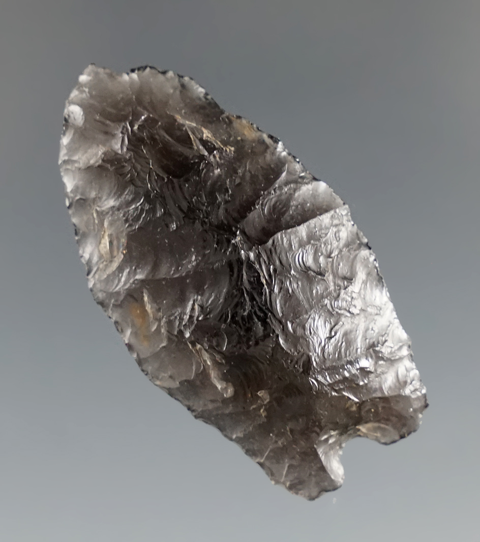 1 1/2" Obsidian Humboldt found near Lower Klamath Lake, Oregon. Comes with a Bennett COA.