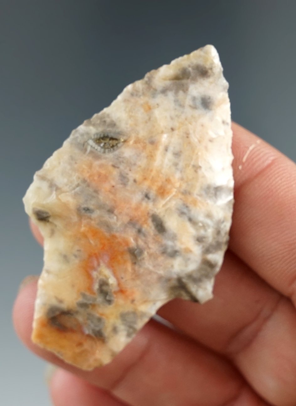 2 3/16" Gary point found in Missouri made from attractive material.