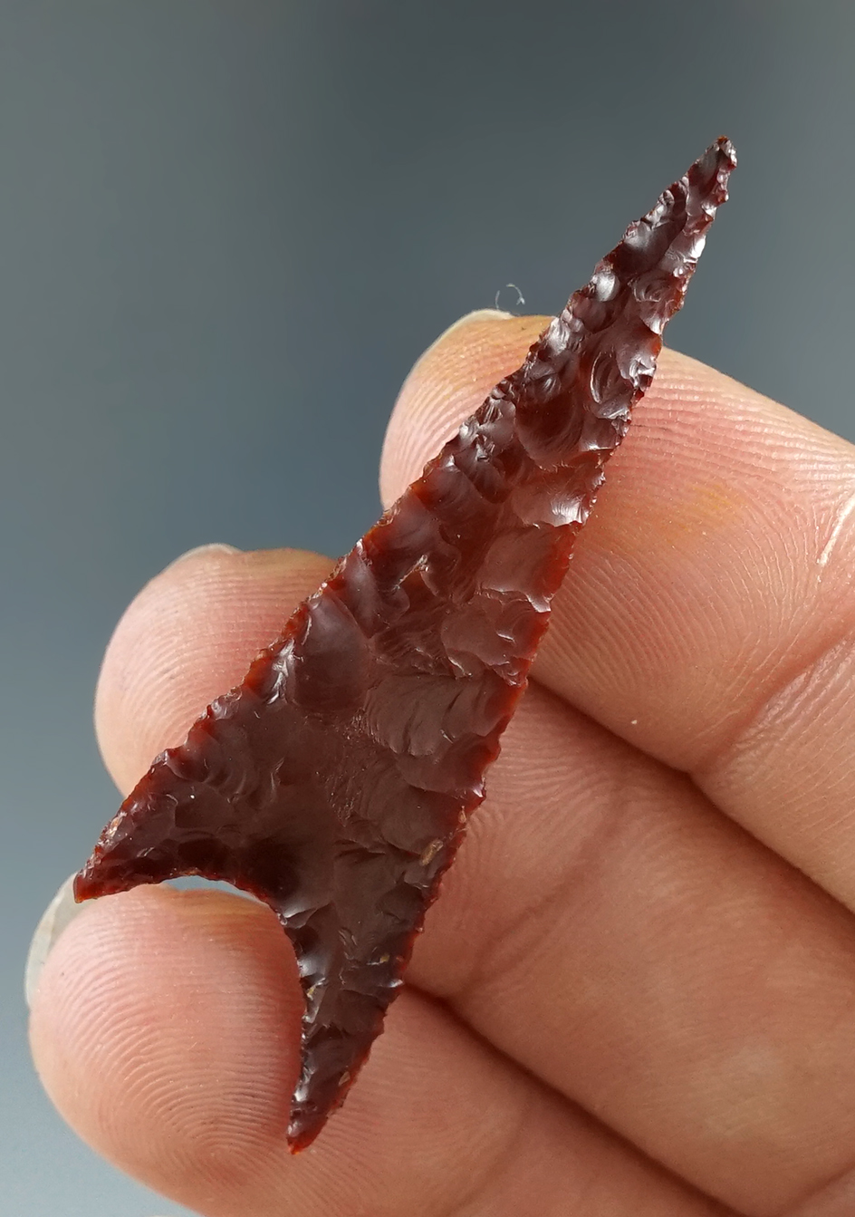 Nicely flaked 1 7/8" Gunther made from Jasper, found in Oregon. Comes with a Jackson COA.