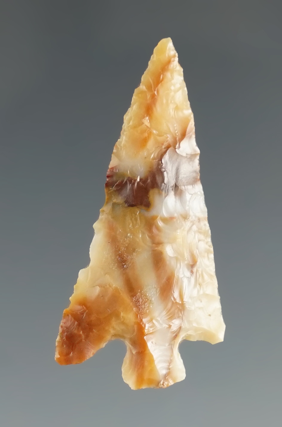 1 3/8" Columbia Plateau - Columbia River Plateau Region.  Bennett and Stermer COA's.