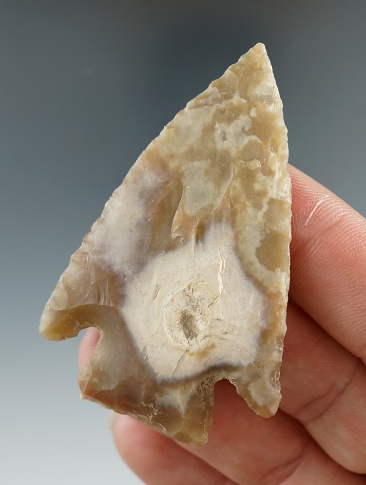 2 7/16" Castroville found in Bandera Co., Texas. Rogers and Bennett COA's.