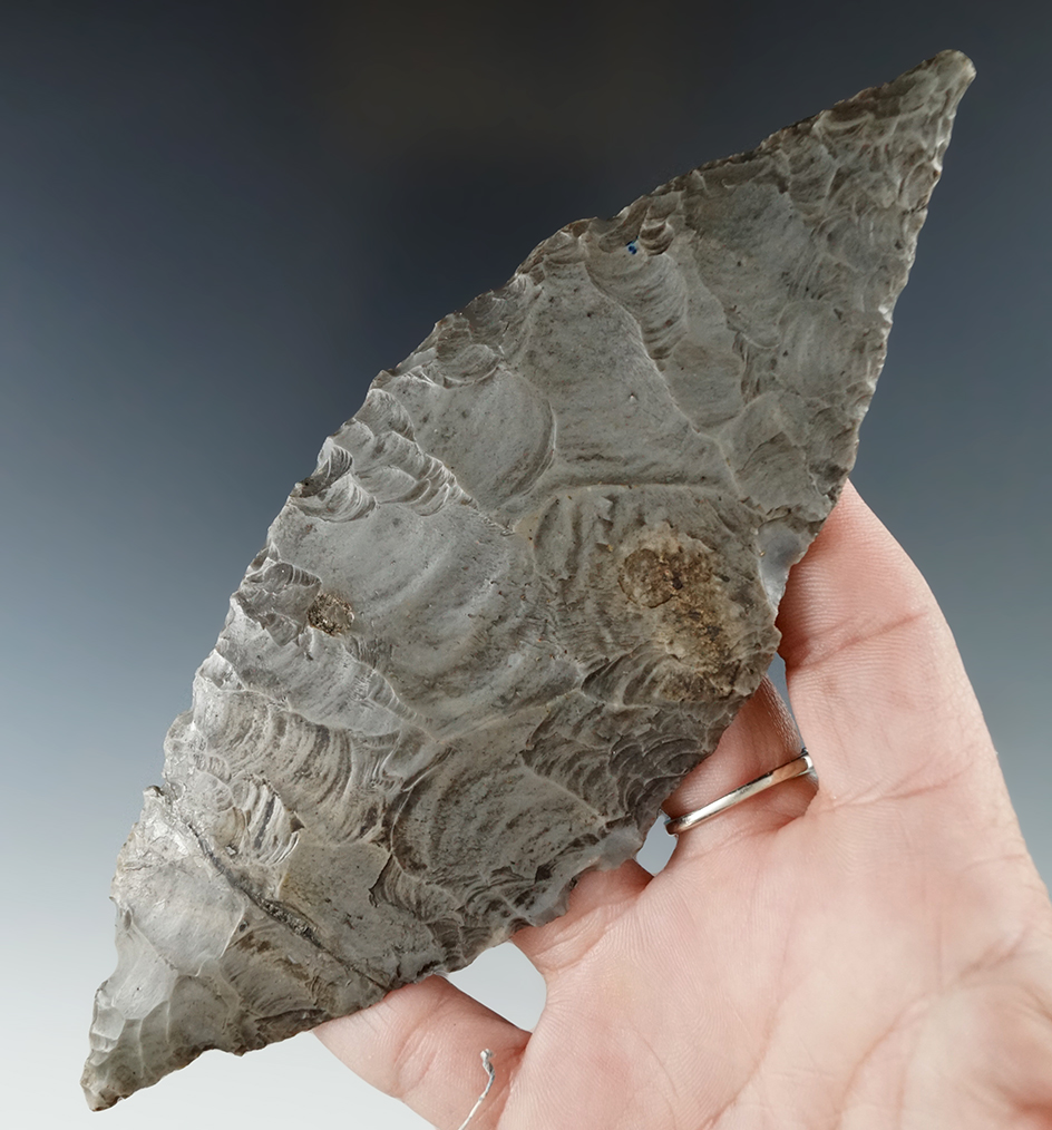 6 3/16" Hornstone Turkeytail that is broken and glued tight near the base found in Indiana.