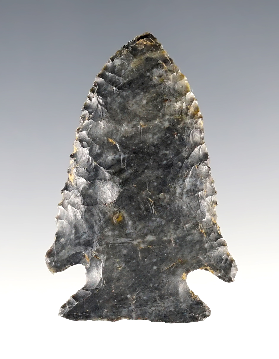 1 15/16" Archaic Cornernotch found in Ohio. Excellent flaking and small but very fine edge serrations. 